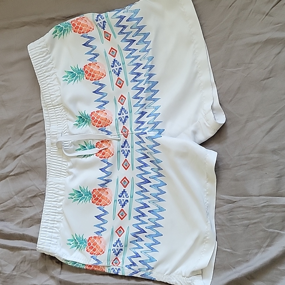 COPY - Chubbies Swim Trunks